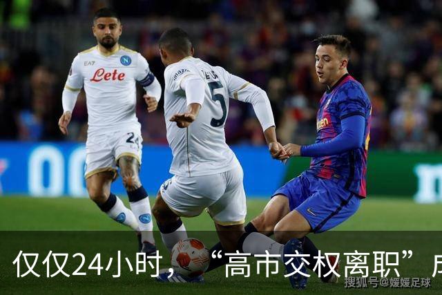 仅仅24小时，“高市交权离职”成为日本爆点，鸠山由纪夫挑起重担