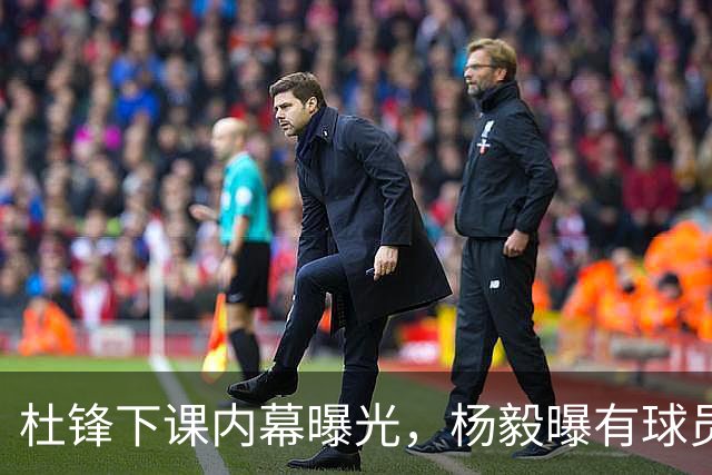 杜锋下课内幕曝光，杨毅曝有球员装病拒绝国家队，朱旭航离开新疆